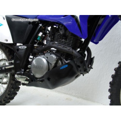 Exhaust Guard & Skid Plate